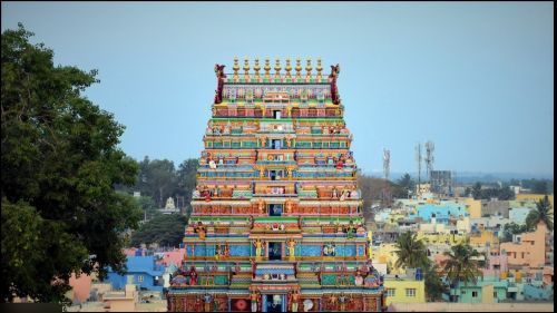 Digital Marketing Services