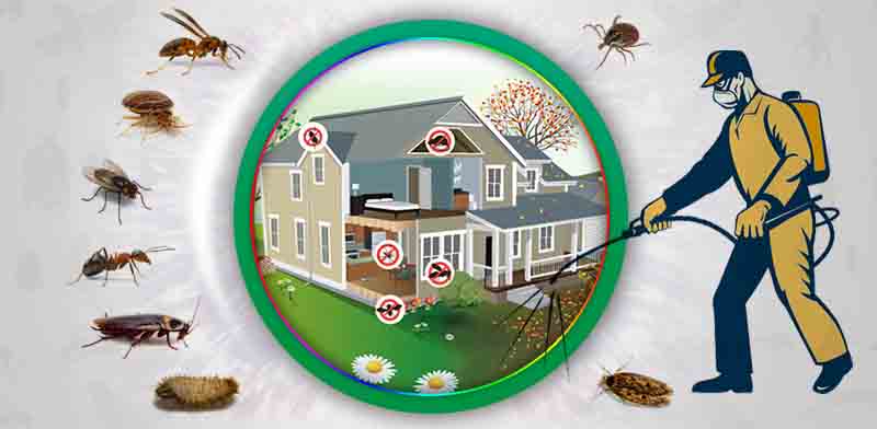 Pest Control PPC Illustration